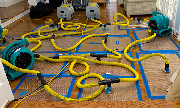 Professional Basement Flood Cleanup technician working in Ethridge, TN